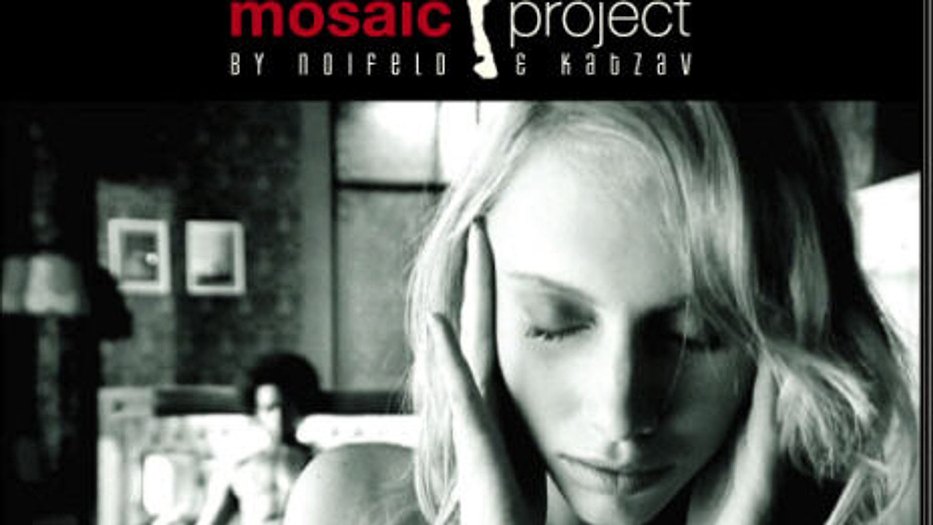 Mosaic Project